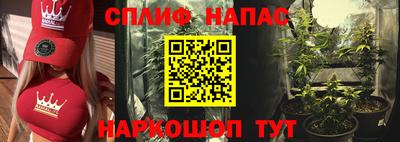 хмурый Гатчина